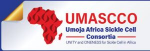 Drépanocytose en Afrique : ONG LCDM SOLIMAD au webinaire UMASCCO